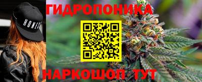 спиды Заводоуковск