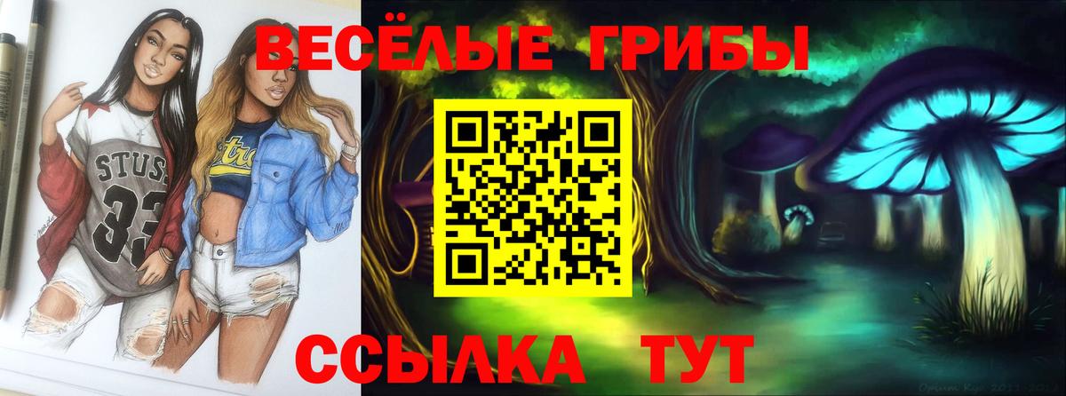 Псилоцибиновые грибы Magic Shrooms  Вход с VPN  Курчалой  Галлюциногенные грибы мицелий 
