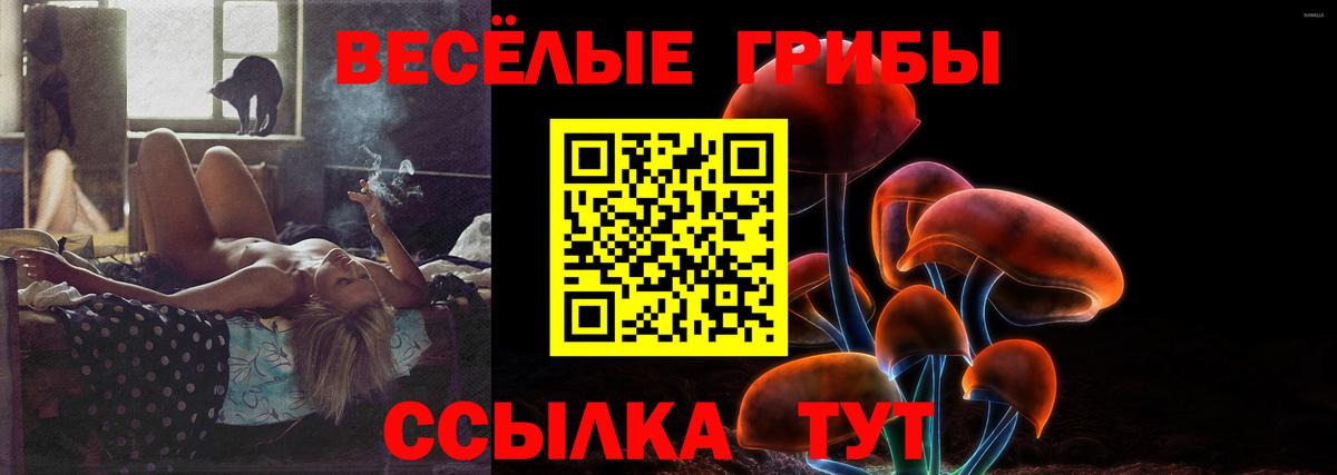 ГЕРОИН  COCAIN  Курчалой  Гашиш  КЕТАМИН  МАРИХУАНА  Меф МЯУ МЯУ   Вход с VPN  Метамфетамин 